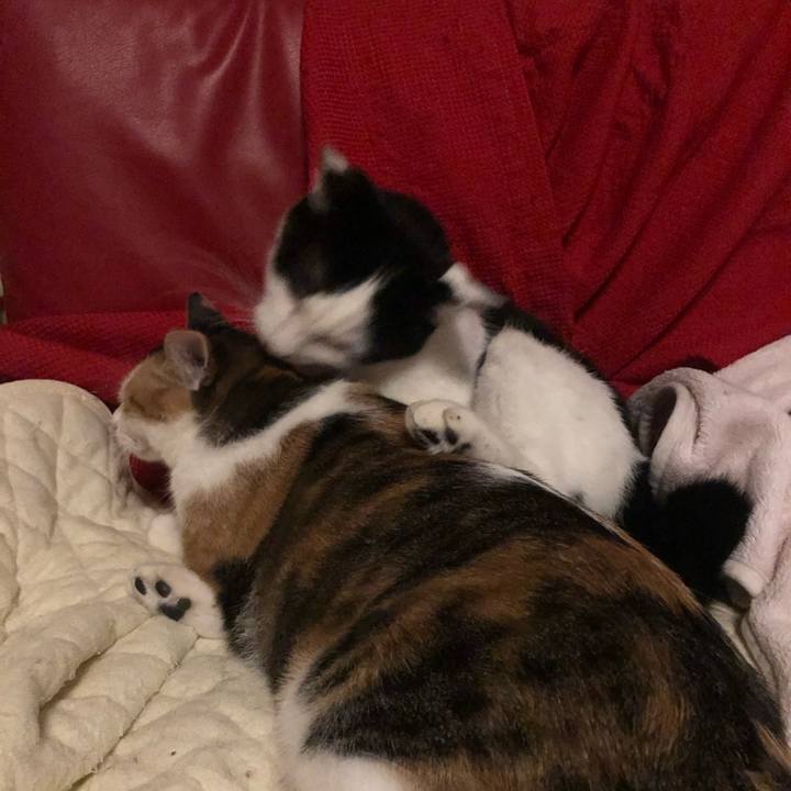 6f04dbf4 b2fb 433e ae8e 7442dd556db1 1606476097241