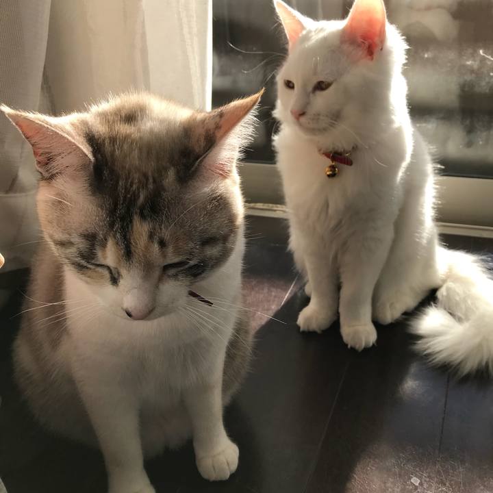 6f04f953 24b7 43f0 abf9 c24fe78166de 1514698328991