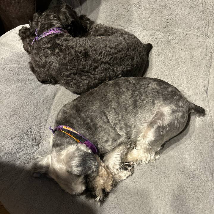 6f05375d d1bd 4ced 9a40 b1006a10b528 1697983902274