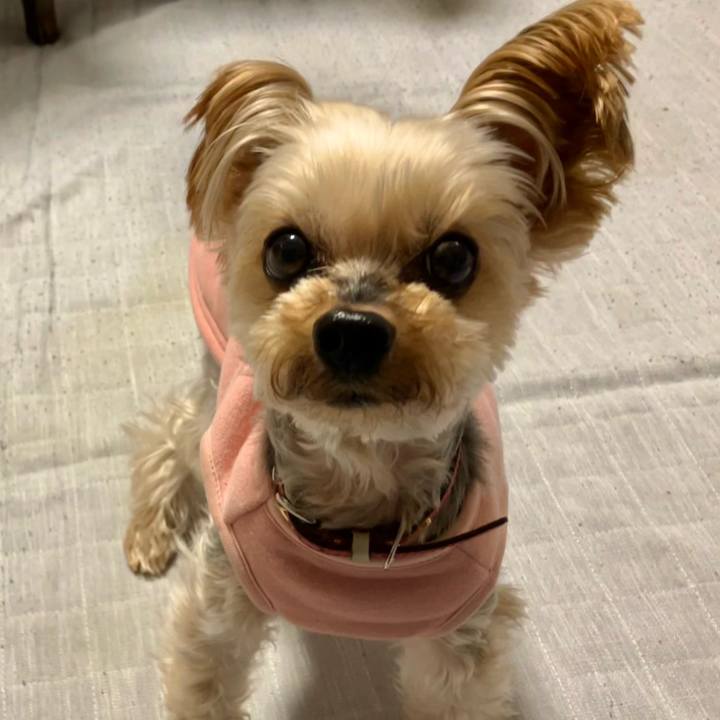 6f0544c1 c0f6 44de b970 90dafc02a45c 1768576820761