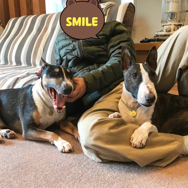 6f0548cb 3754 4555 be18 e3f369ab34f1 1513404756914