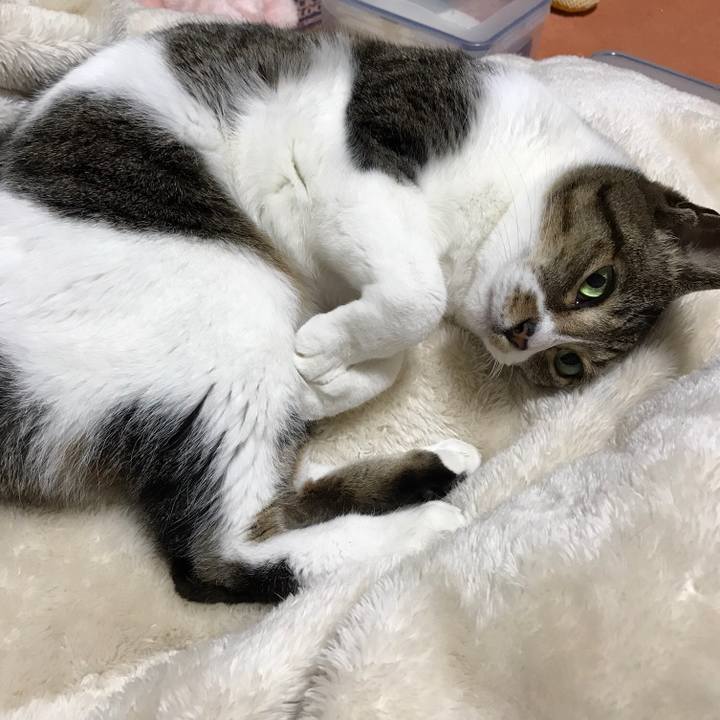 6f057237 7275 40e2 b891 bba7145f09e9 1518658070459