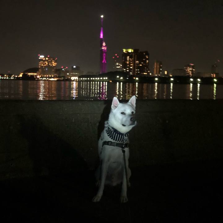 6f05739b 567d 4f08 90bf 4413168a4b72 1598711503909