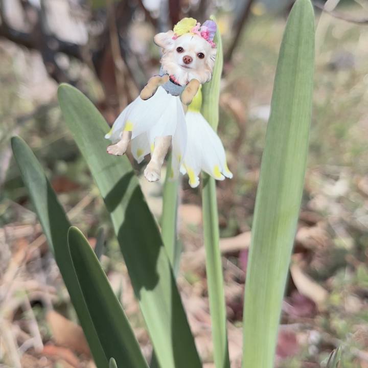 6f057b4f 4c35 4e83 85bb ed9f768c6fde 1709524470797