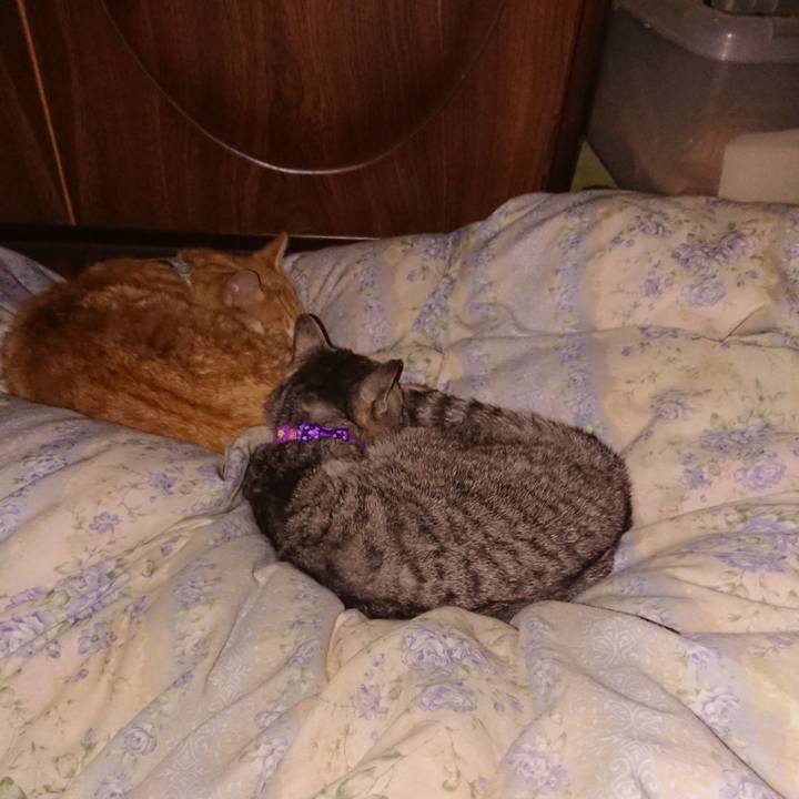 6f05ba2c 3de1 4350 8da5 80664fd8da5b 1588859792379