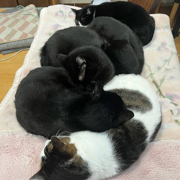 6f05c5b4 e92d 428b b2bf 3e30acf193c5 1734046101619