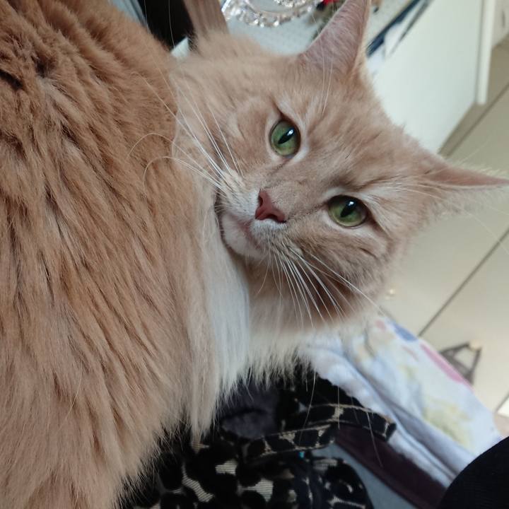 6f05ee6f 14b1 42d1 aeb1 777ae5f91dff 1577447214302