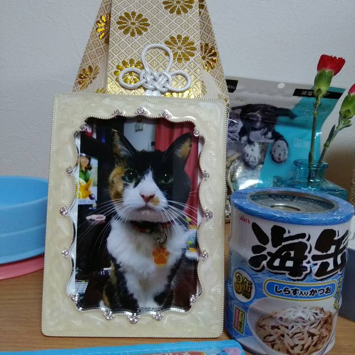 6f060dc5 b7cf 4db7 a27d c5068e1bf839 1573672293350