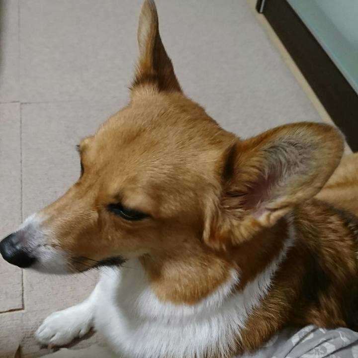 6f069e07 eaf6 451f 94f5 6d74e85b8292 1508934507157