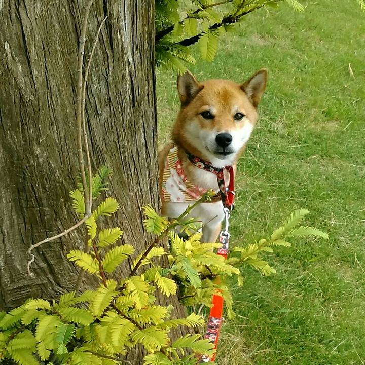 6f06a295 b235 4d8f 9c5d 4a25762007c1 1537833182834