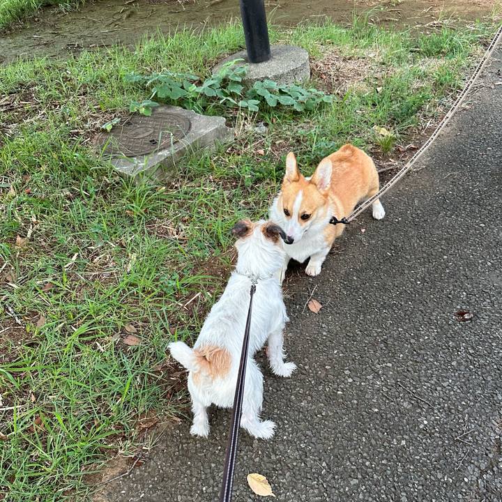 6f0723d5 096c 47b6 b84f e2713a8a7b9a 1724516736484