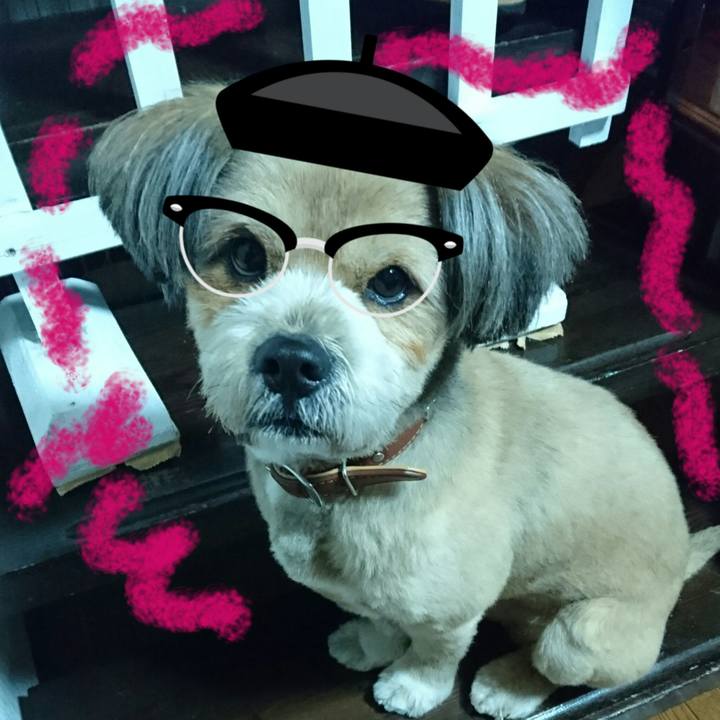 6f072a15 5fb9 4a3d 8c68 1f91d521e389 1521543871001