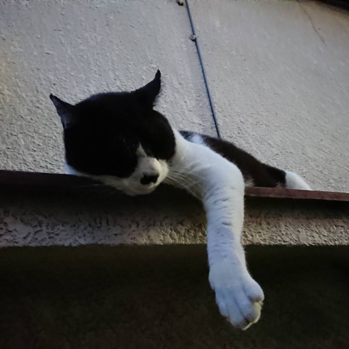 6f078d91 7772 40d5 8122 81a925e23866 1528546480550