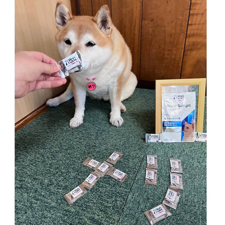 6f078e40 09b0 46b3 9a37 9d45460771fb 1711524206143