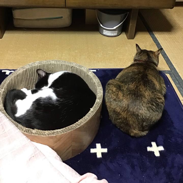 6f079c16 d2b8 4ce5 9e67 cd6e2cde2b3a 1705314740861