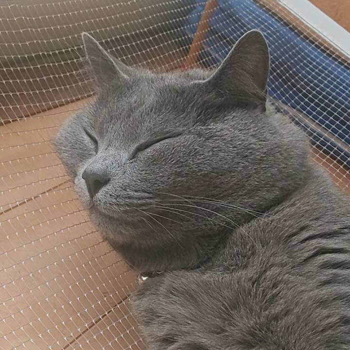 6f07a065 5b66 487d ad64 40510d67a470 1591155599547