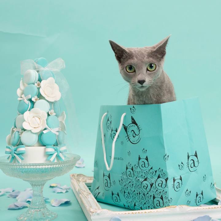 6f07e63b 1676 4ab8 8984 b9768fc1570b 1656162038630