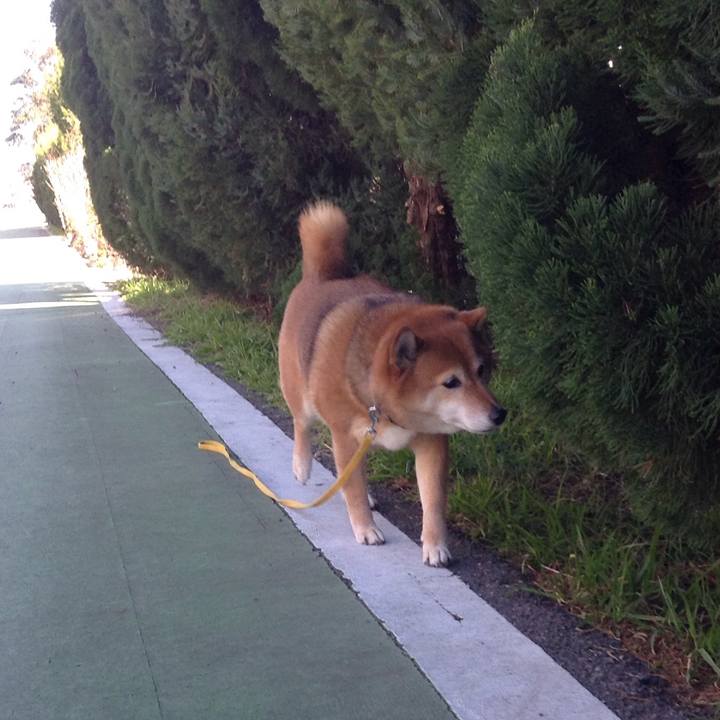 6f07ec8a 5eb3 4e8f ace2 2459d6190f78 1549944751150