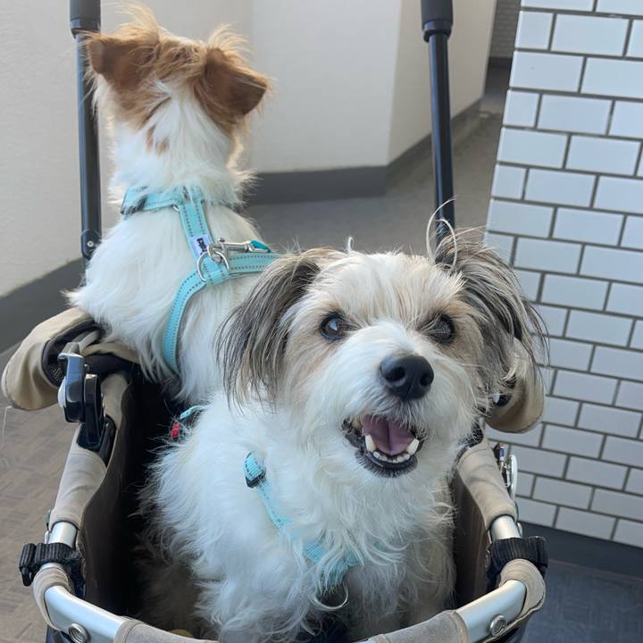 6f084f30 1992 42eb bbb7 6073eb6d45d3 1774355364966