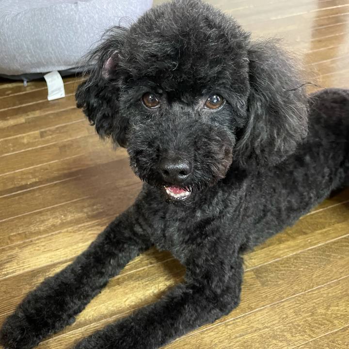 6f0856ae b994 43ef b290 0b4cd6be6772 1621743697821