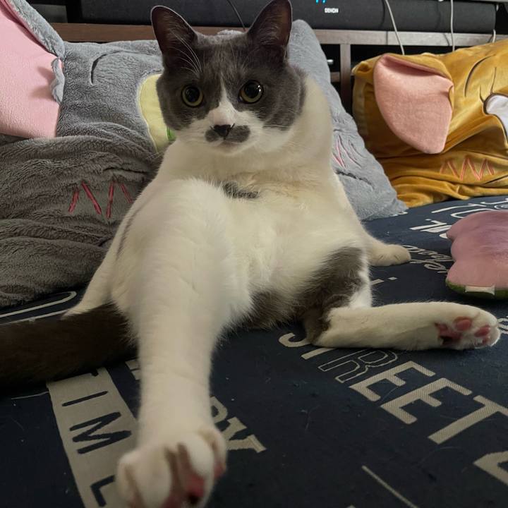 6f089440 990e 4aea 8772 7c18af1954fa 1750572711434