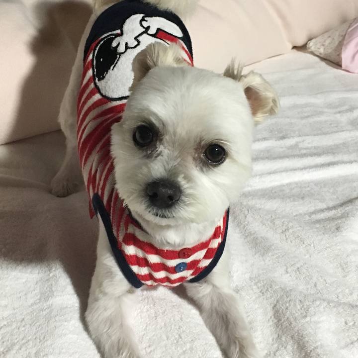 6f08be43 4b04 4271 9ada c40903fc1560 1523943565788