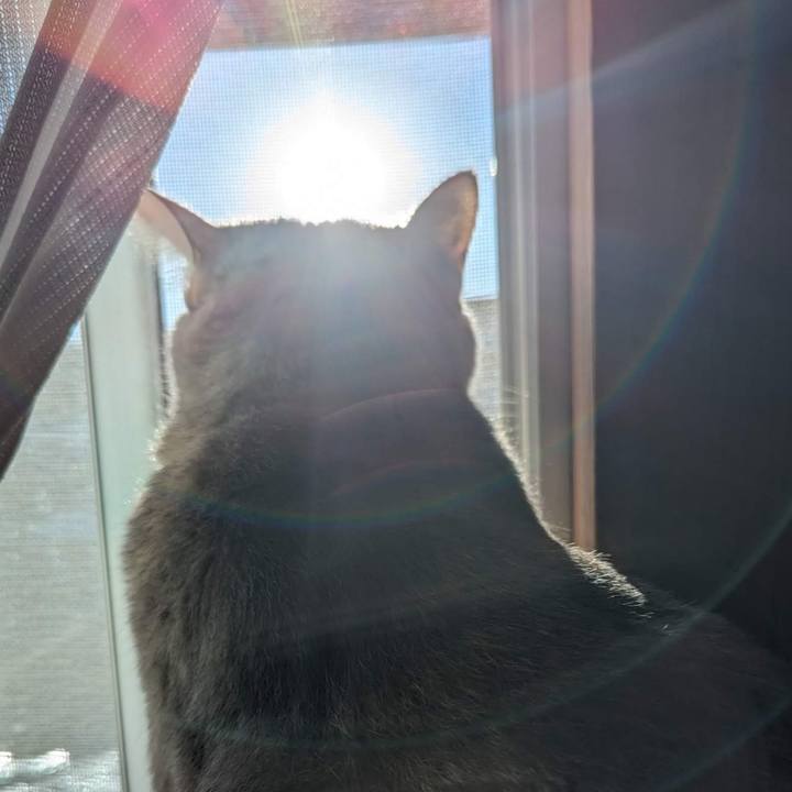 6f08c041 5bfa 4d6c afe6 6083041a7eee 1700720703153