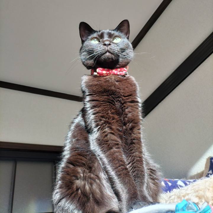 6f08dcc8 5c1d 4dda 9b77 9c0509d62c73 1645138476067