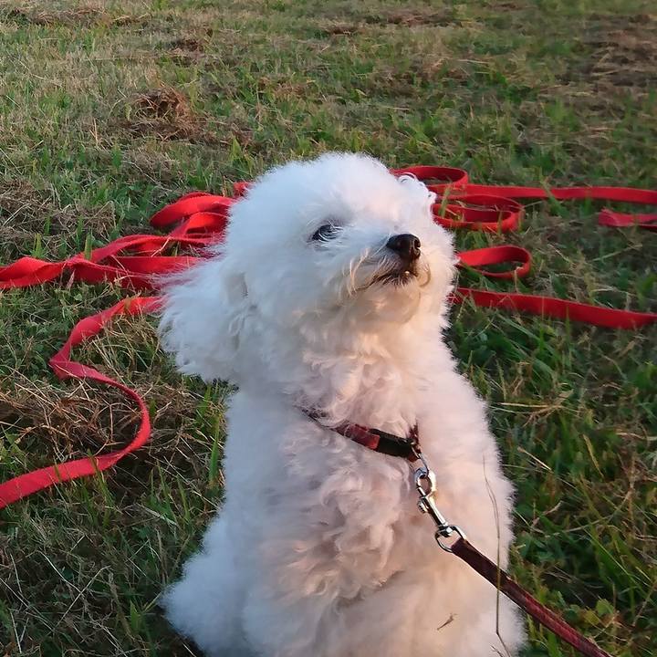 6f08df43 4b63 4ab0 b03a 9853e0d09835 1540372910758