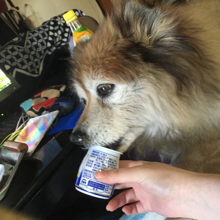 6f08f80b 338d 4bfe 8e20 8f322810dbf6 1564324662877