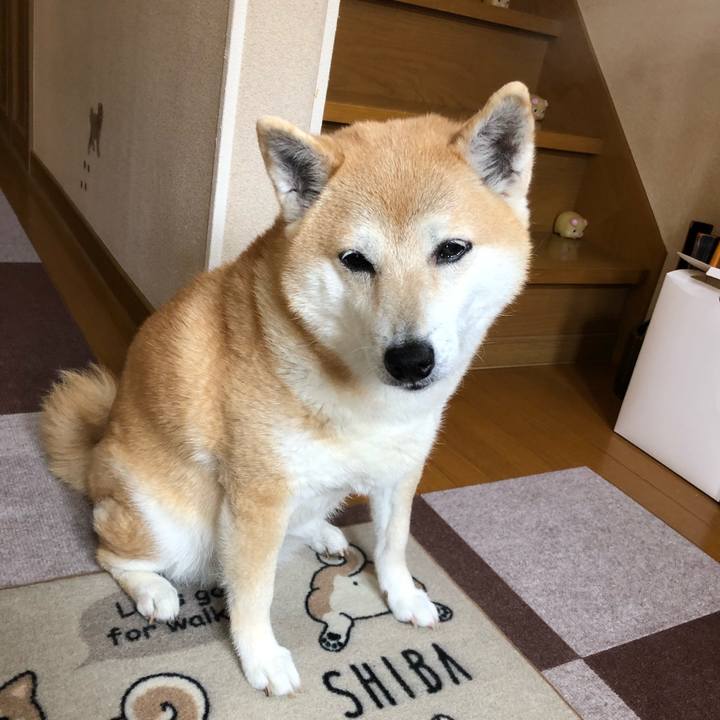 6f0912e4 6d78 470f 9a00 04dbba4be93a 1591692012392