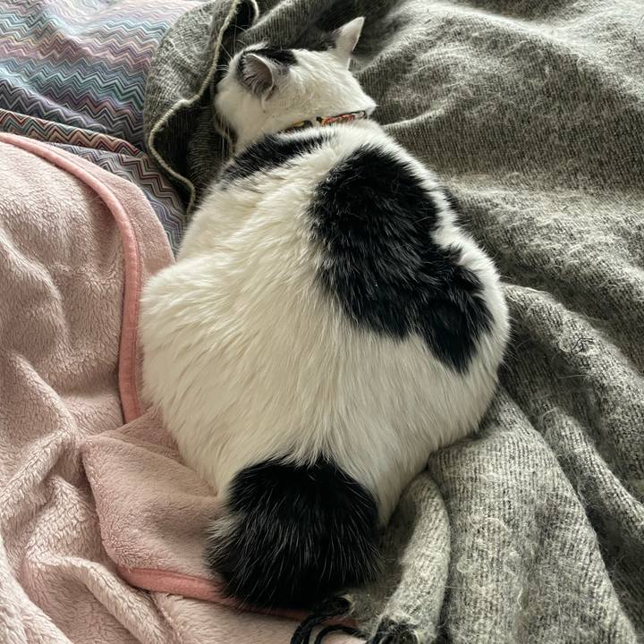 6f091a61 add9 473f ab24 e030162a25b3 1640310467684