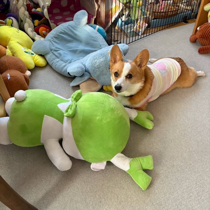 6f096fd3 b738 4286 bd76 649a82b05785 1767832750905