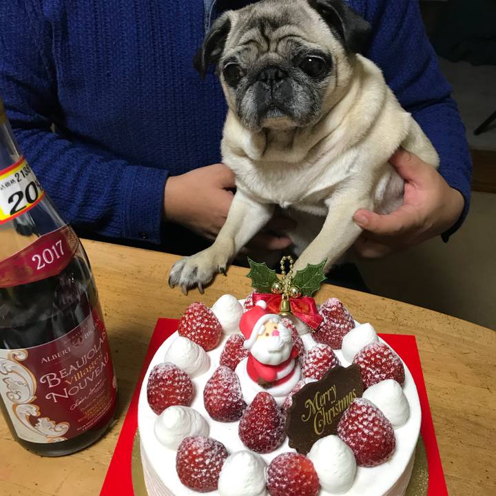 6f09cd8c f801 4911 9674 33f27f489d2e 1514116406445