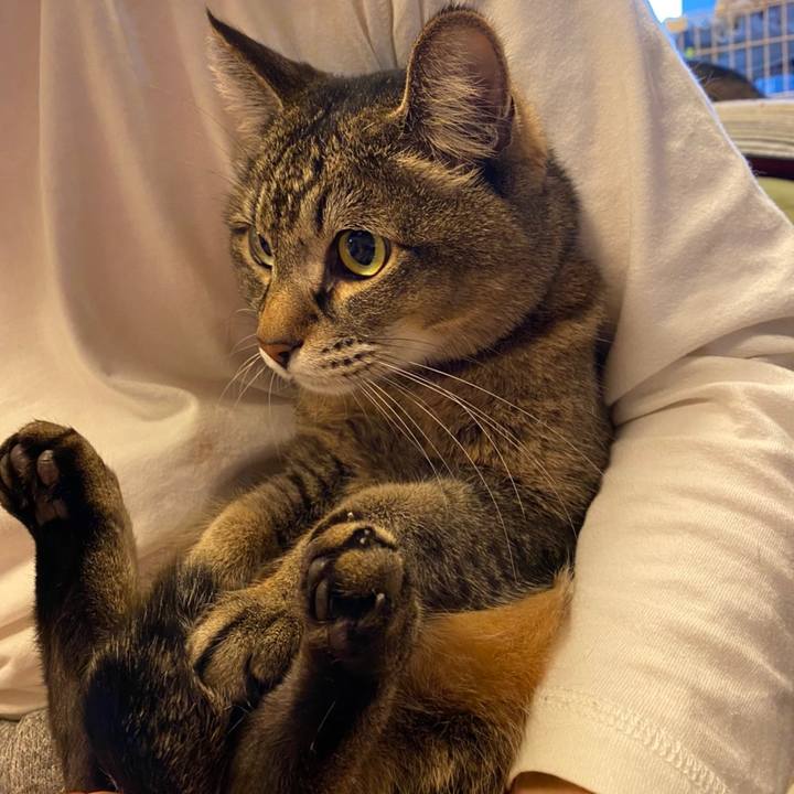 6f0a05ac 9de9 4b48 89a7 c2ac28697536 1587386287952