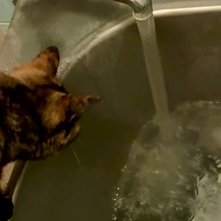 6f0a551a 2320 42e1 a638 49aa705d9854 1751144612177