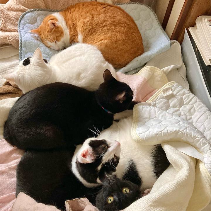 6f0aa5a7 b349 4a7a b704 0c59d3d06269 1654739942197