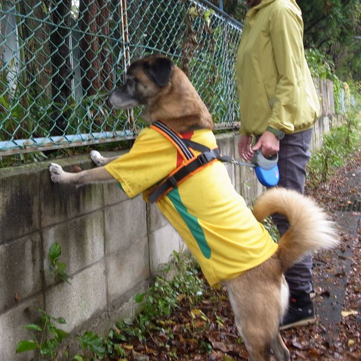 6f0b3d13 cdb7 47f0 be5f 74fc330d5c01 1583198977807