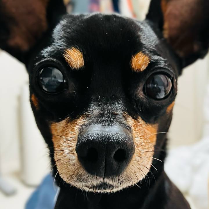 6f0b44ef 5a82 4c0b 9904 aa72347209ff 1767138756987