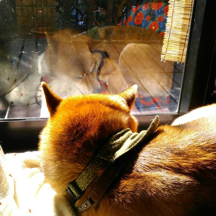 6f0b66f5 2d83 4d72 b753 616d52486121 1517968072867