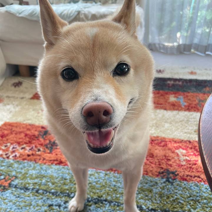 6f0b753d a098 468a a377 14851a037a66 1725490048080