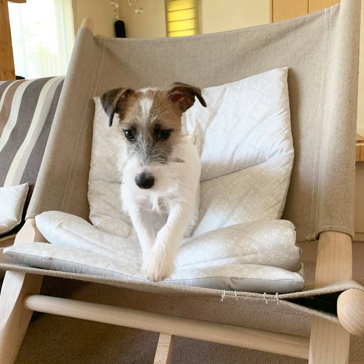 6f0b7eeb 3d38 4b14 b79f 48df9848846b 1564977877148