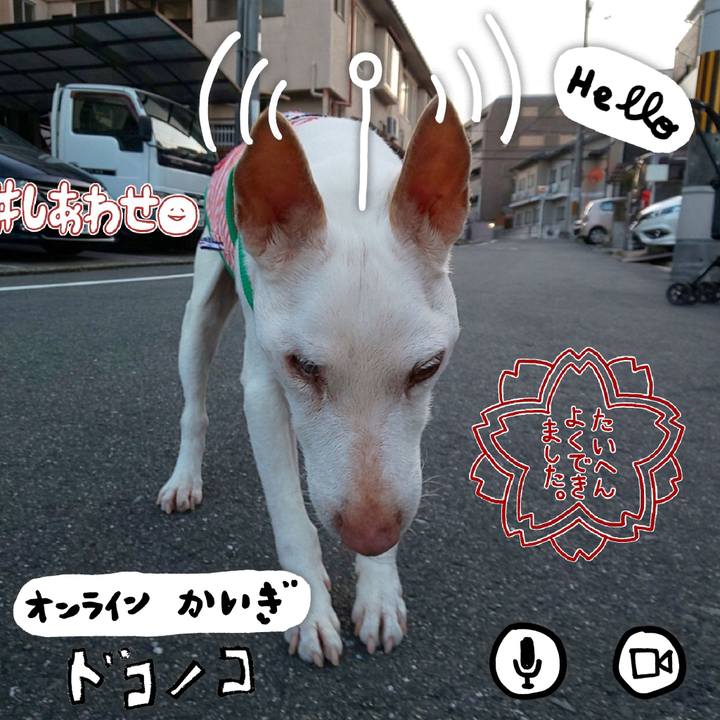 6f0b970d 3f80 4b52 bd0f 3ec00bdff010 1590747550056