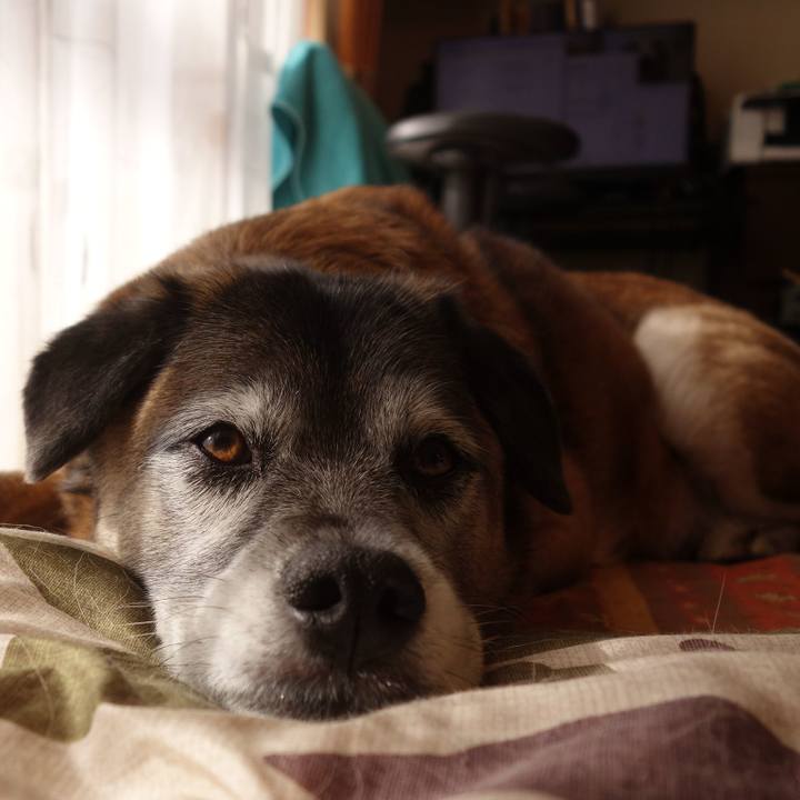 6f0bd179 457a 4f66 8dce 29229d0753fc 1656806623610