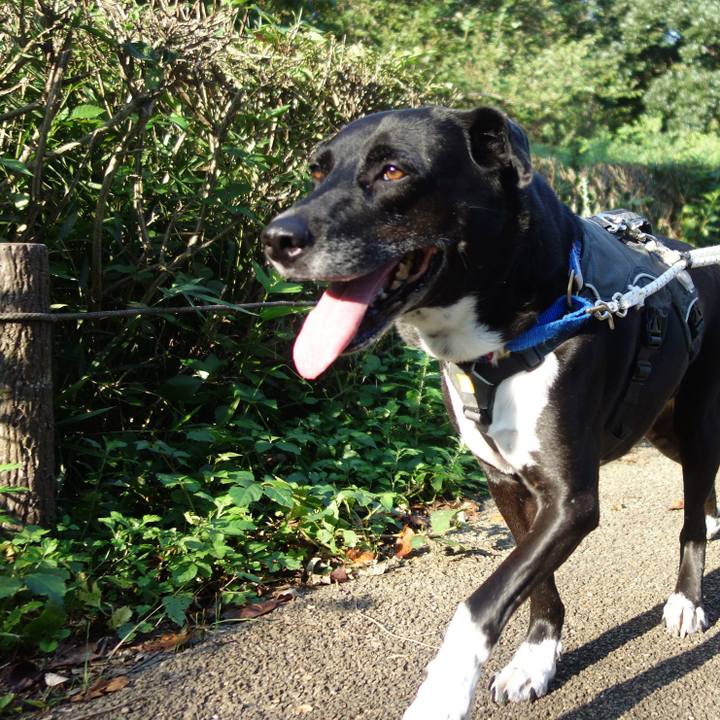 6f0bd454 ef6a 4115 bfe6 ddfcb26370a3 1664497667169