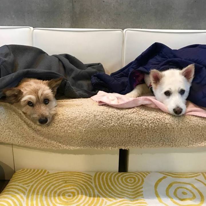 6f0bf5db a57b 44c1 9dff a1fe589660b4 1768792121663