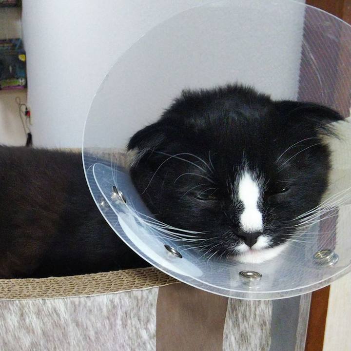 6f0c24d2 8860 4baa 9972 1aaa9d1ddf51 1645265290861