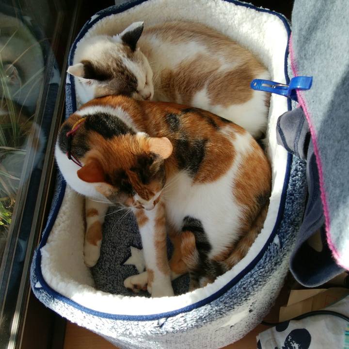 6f0c5fe0 d173 465d ad5e fc78e3a6545d 1512108390924