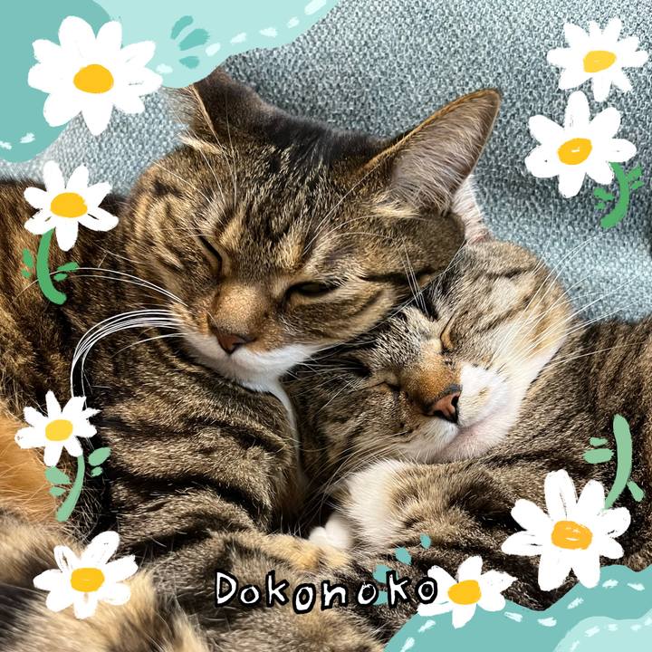 6f0c74c2 41ed 4bb3 991d ea58173dab5c 1712670600848