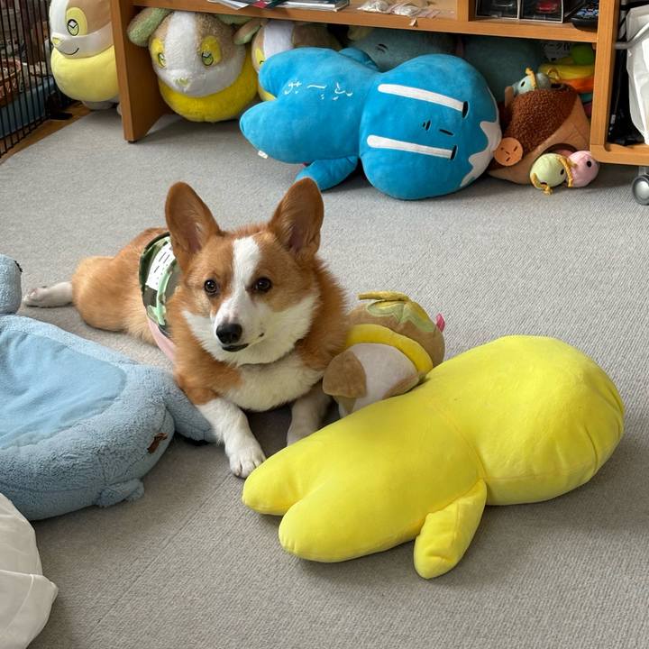 6f0c9b00 2c49 41a4 8394 e8893afc99bf 1771311139518